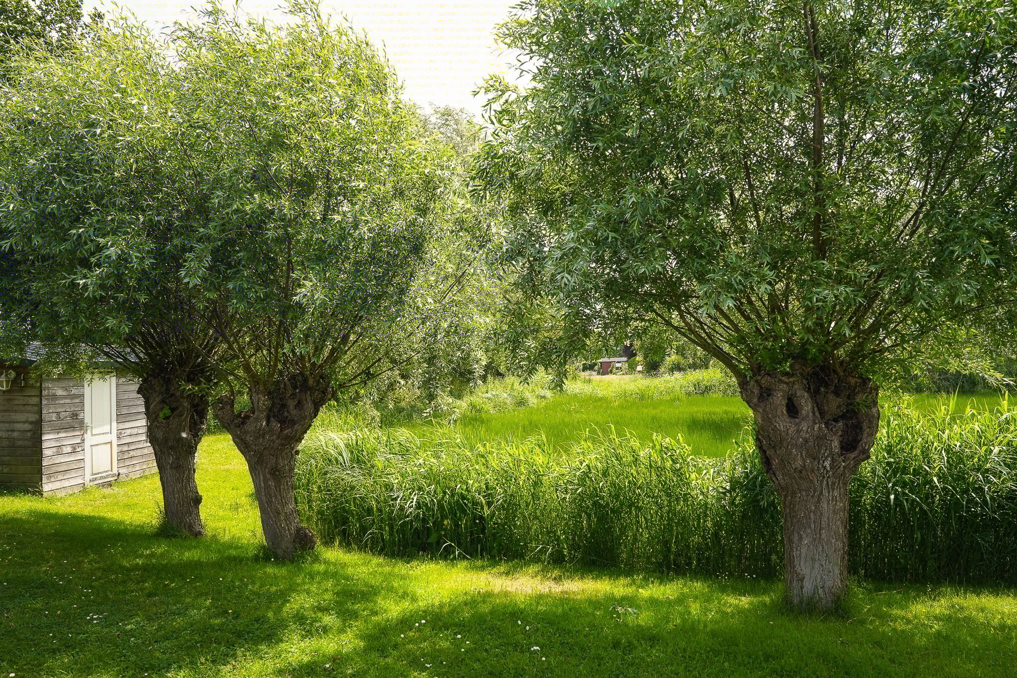 Photo 57 of Molenstraat 15