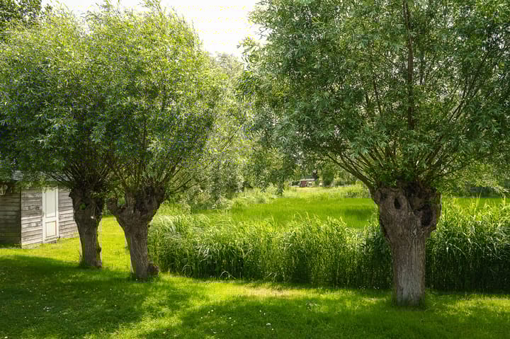 Foto 57 van Molenstraat 15