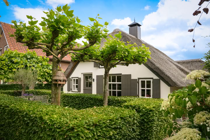 Foto 59 van Molenstraat 15