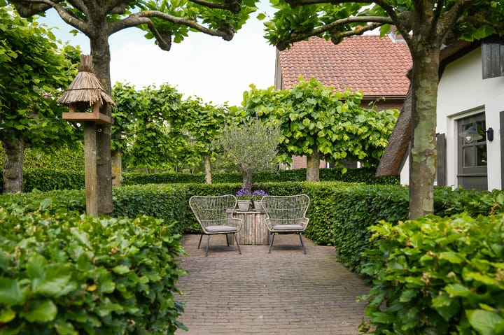 Foto 60 van Molenstraat 15