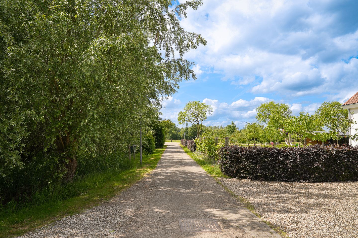 Photo 65 of Molenstraat 15