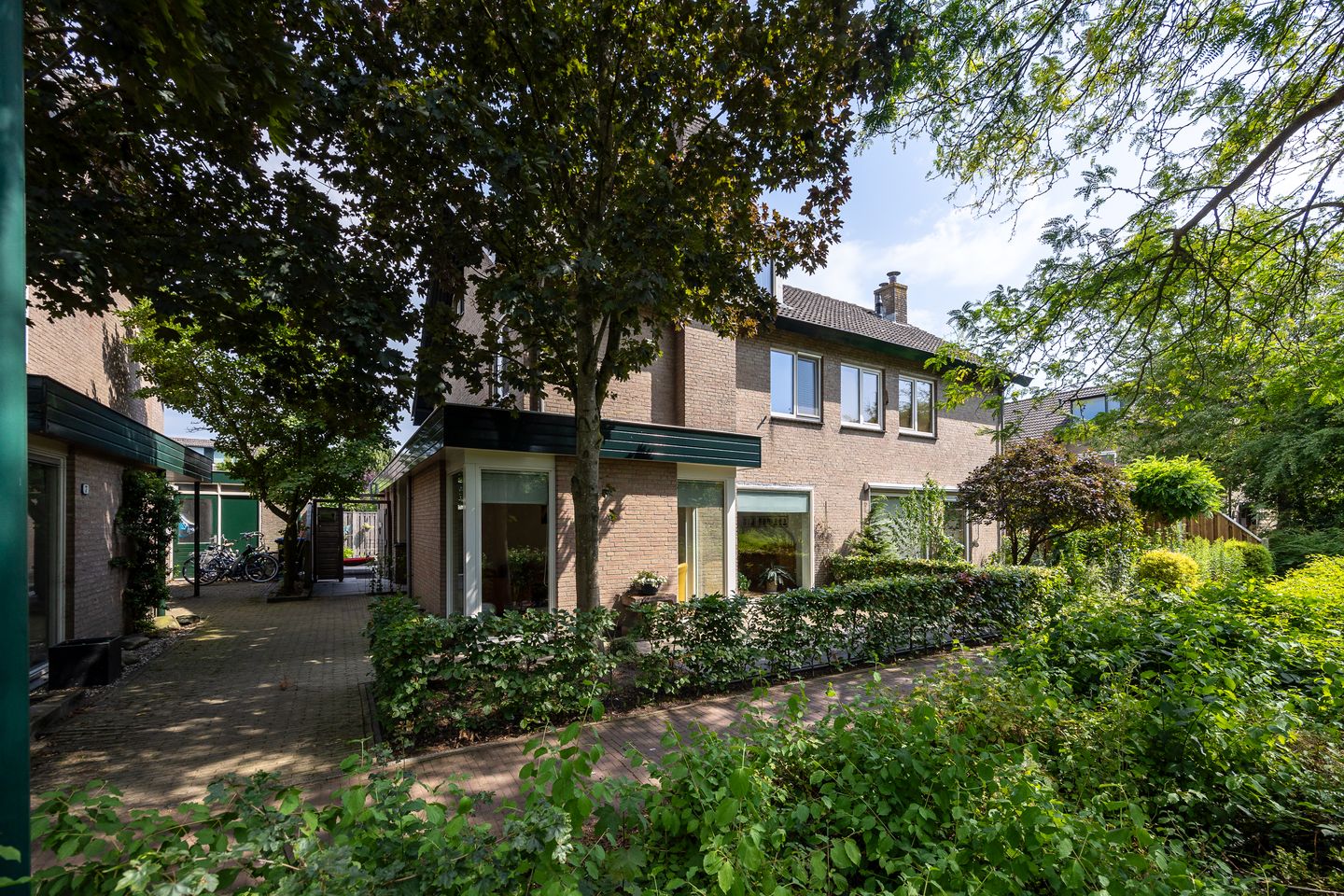 Foto 1 van Duinroos 9