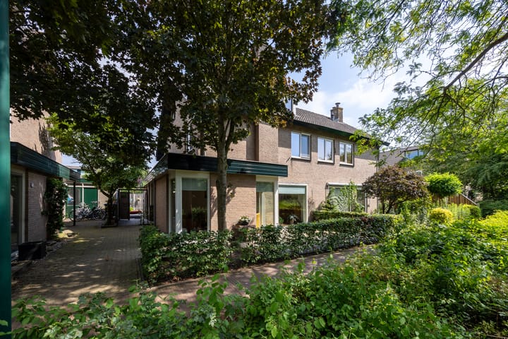 Foto 1 van Duinroos 9