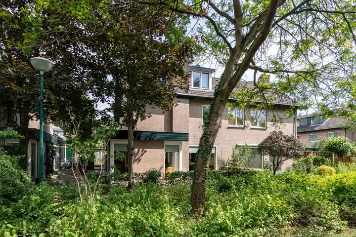 Foto 2 van Duinroos 9