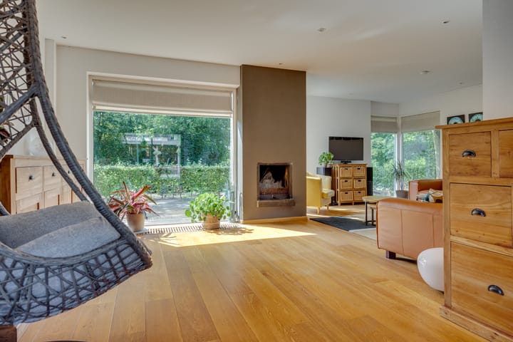 Foto 4 van Duinroos 9