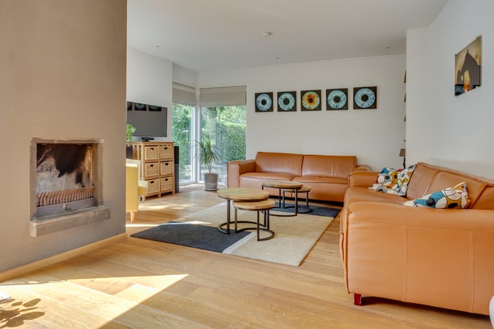 Foto 5 van Duinroos 9