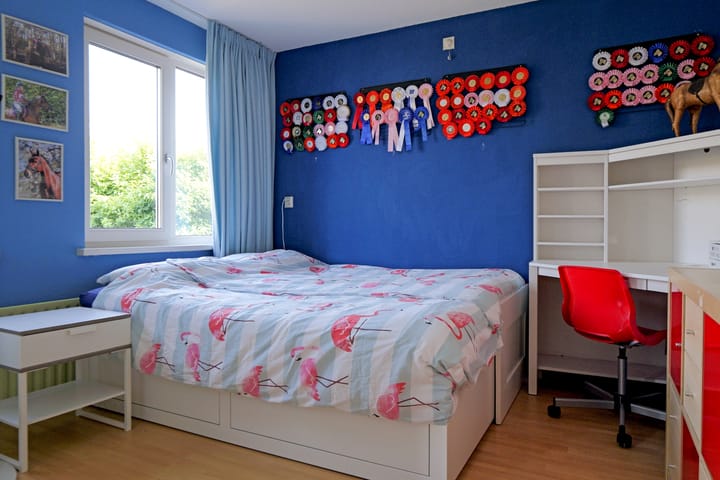 Foto 21 van Duinroos 9