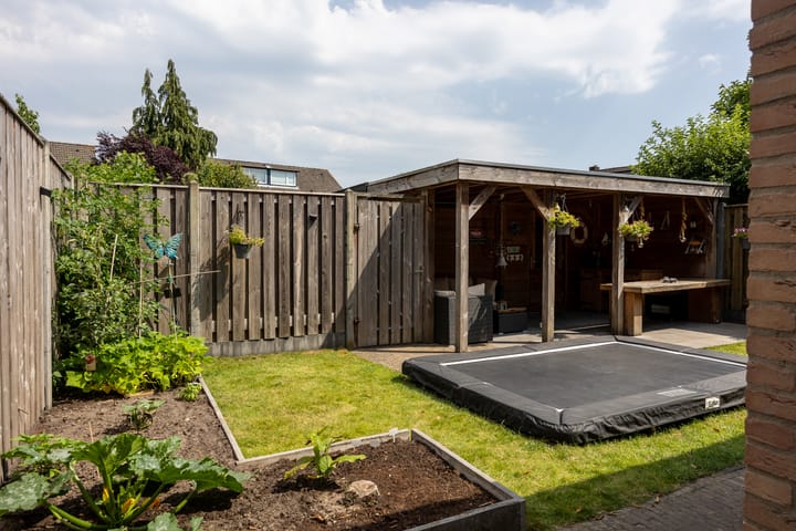 Foto 30 van Duinroos 9