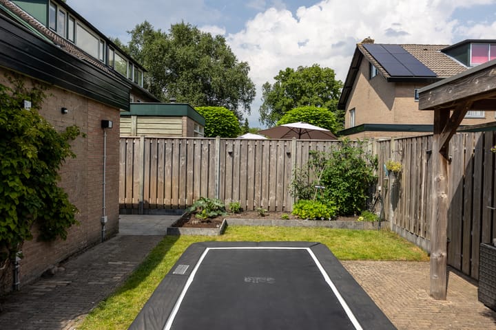 Foto 33 van Duinroos 9