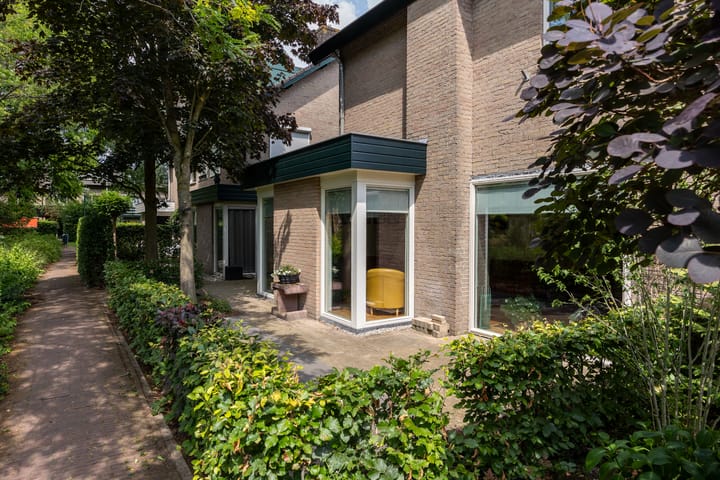 Foto 39 van Duinroos 9