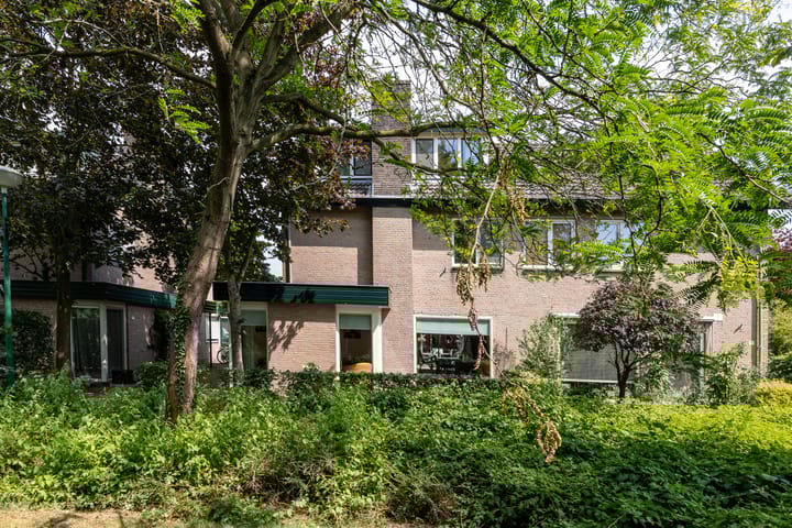 Foto 40 van Duinroos 9