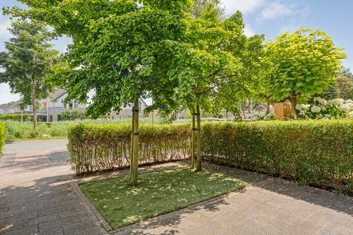 Foto 6 van Valeriaan 64