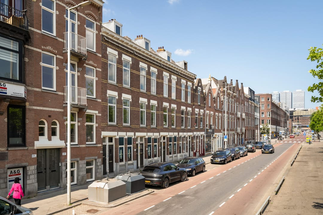 Foto 38 van Pretorialaan 109-A