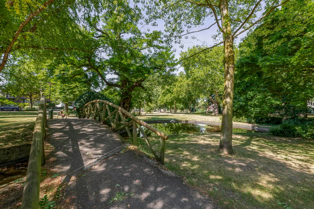 Foto 61 van Wilhelminapark 38-A