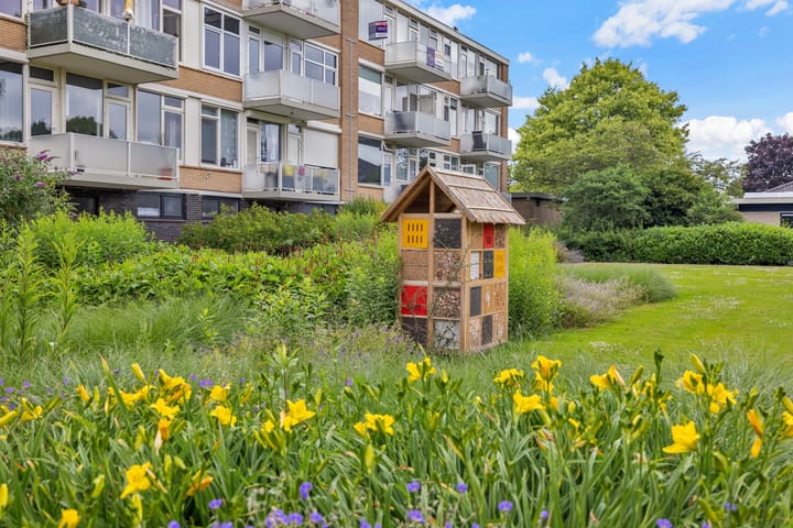 Foto 43 van A.M. de Jongstraat 68