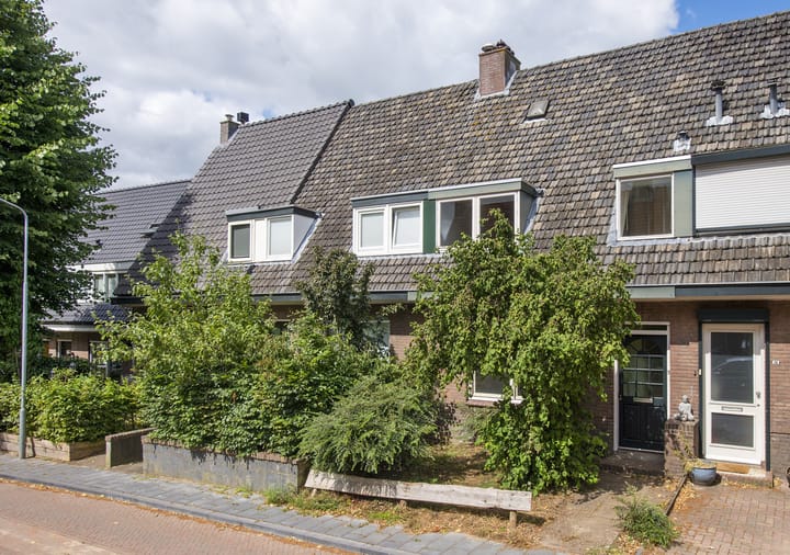 undefined main image