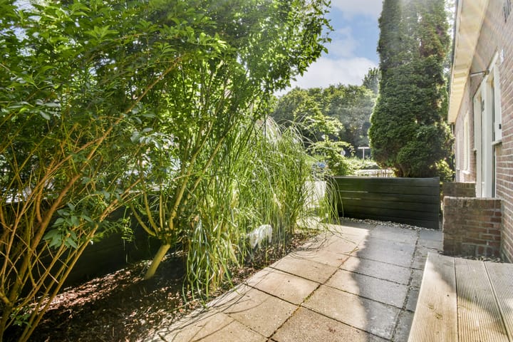 Foto 21 van Kometensingel 59