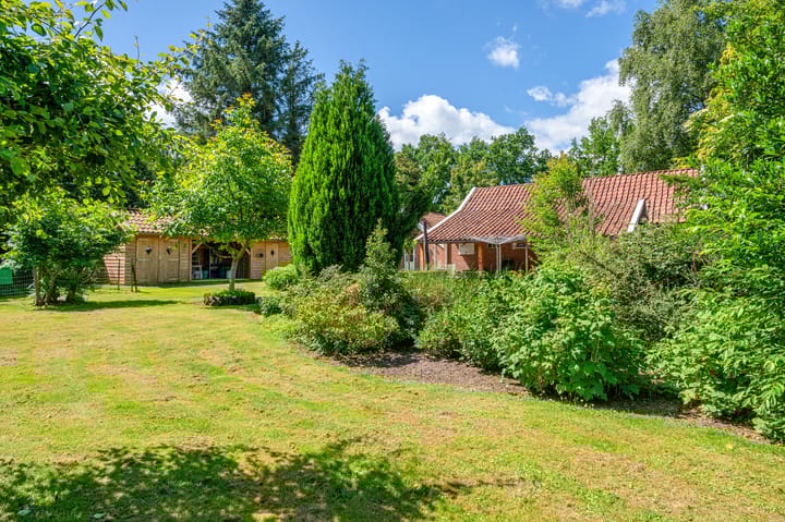 Foto 50 van Lutjeloosterweg 28