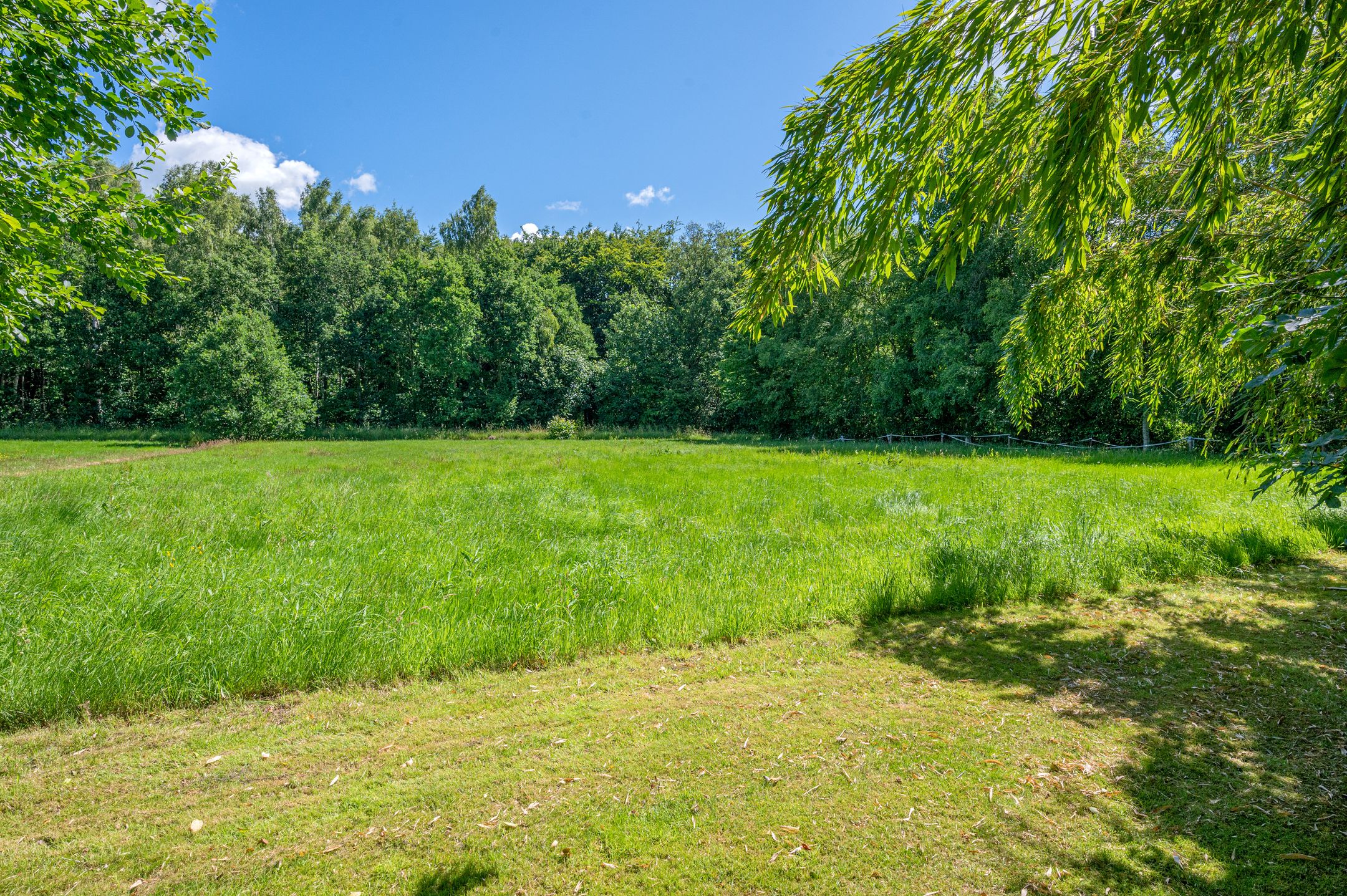 Foto 54 van Lutjeloosterweg 28