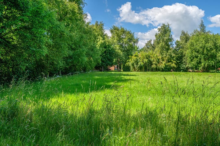 Foto 55 van Lutjeloosterweg 28