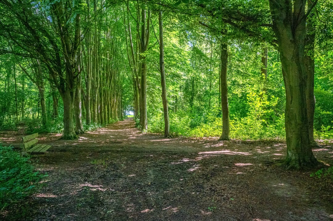 Foto 56 van Lutjeloosterweg 28