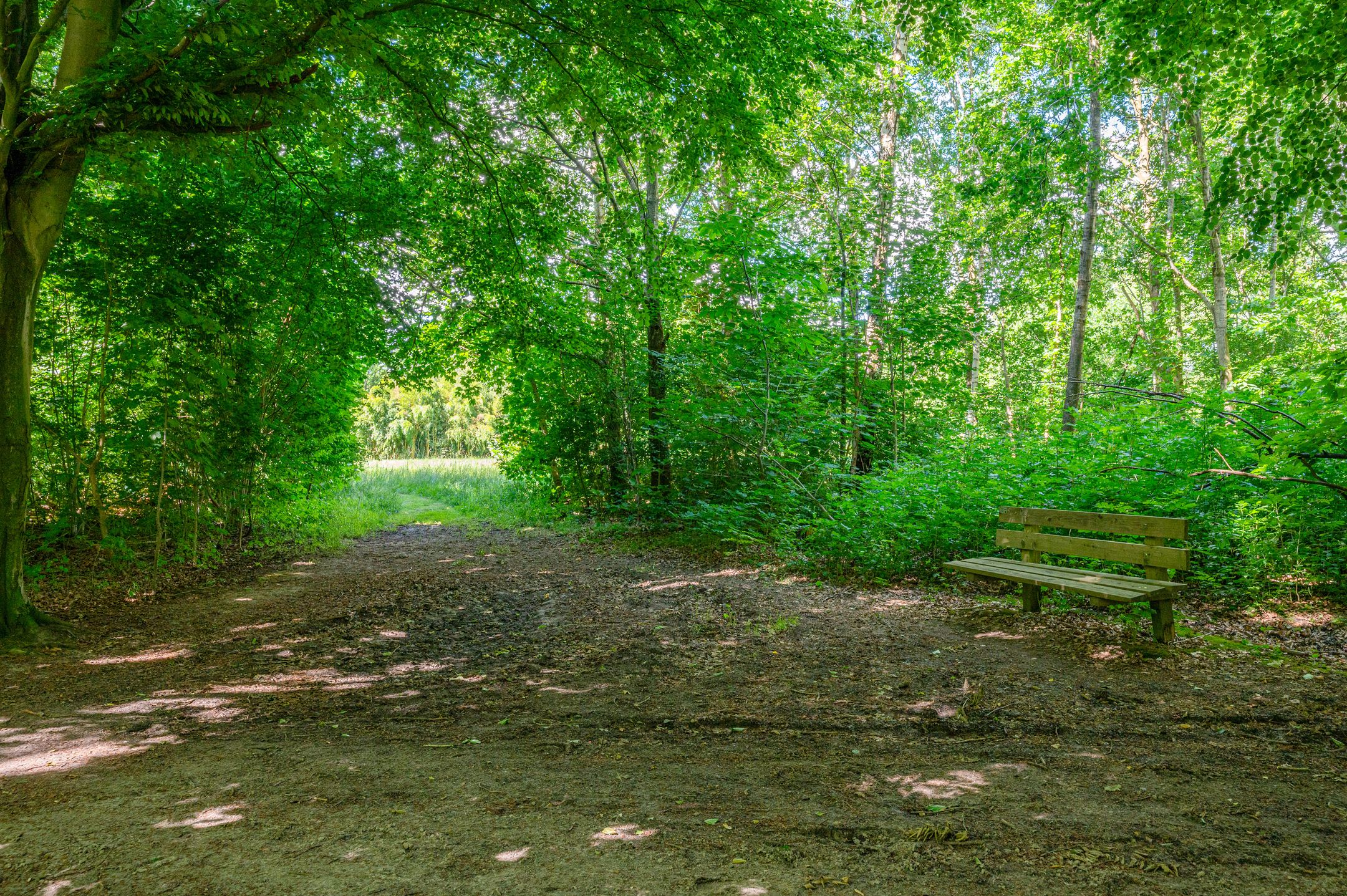 Foto 57 van Lutjeloosterweg 28