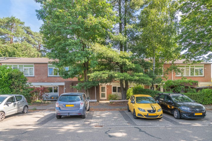 Foto 1 van Apollo 41