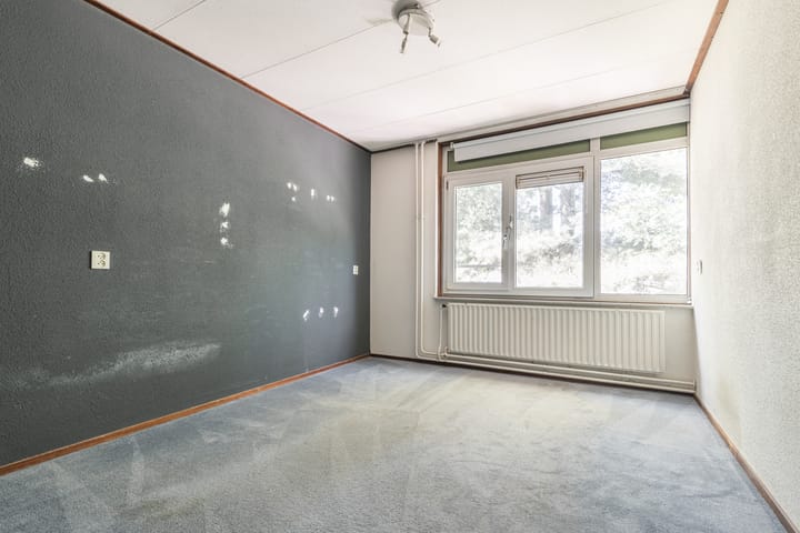 Foto 13 van Apollo 41