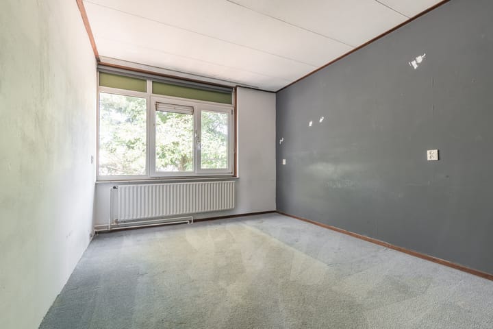 Foto 14 van Apollo 41