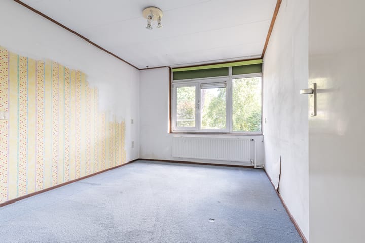 Foto 15 van Apollo 41