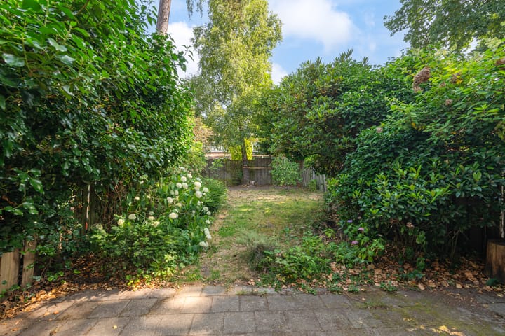 Foto 25 van Apollo 41