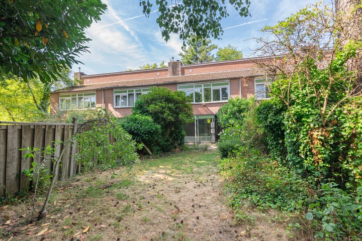 Foto 26 van Apollo 41