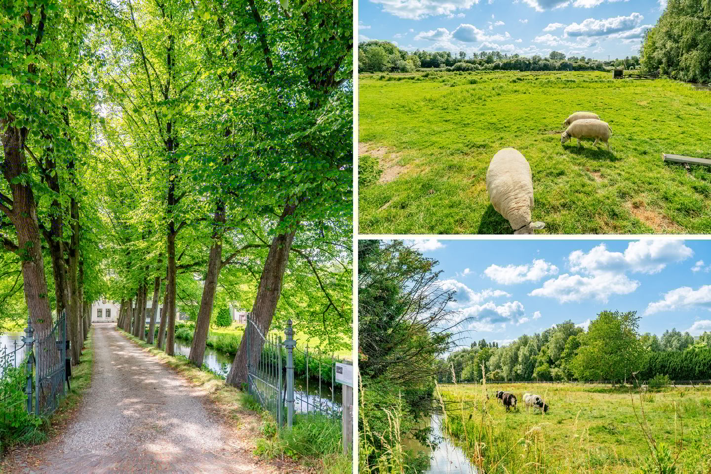 Foto 49 van Rijksstraatweg 187