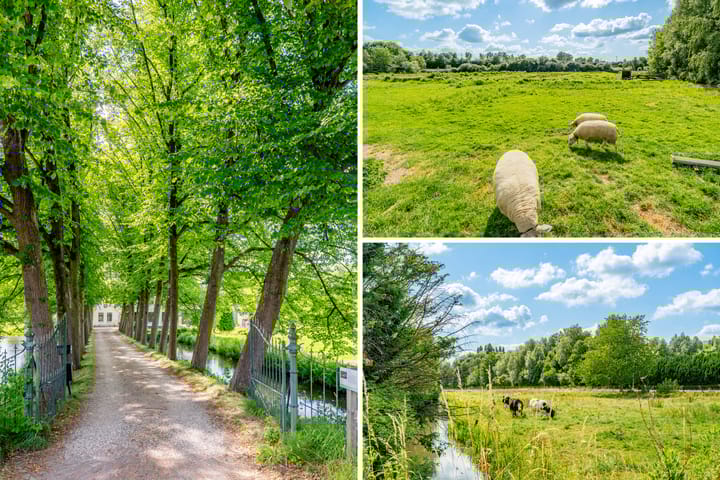 Foto 49 van Rijksstraatweg 187