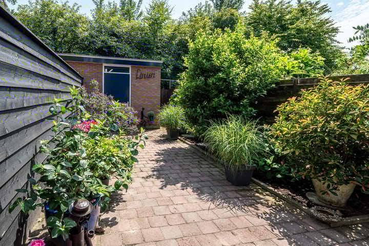 Foto 4 van Tijmpad 21