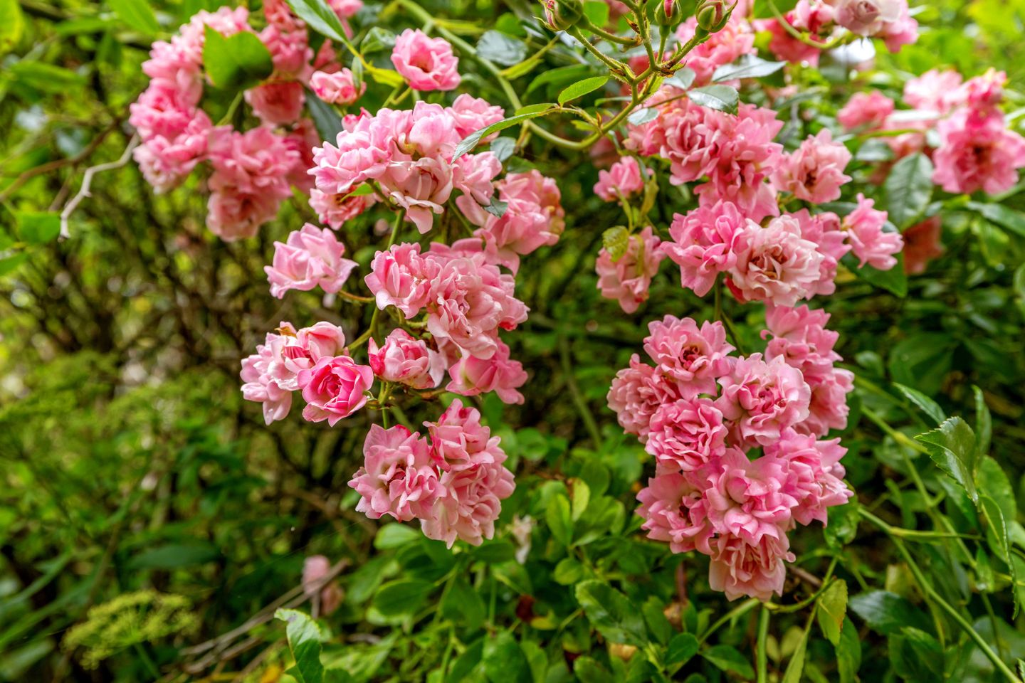 Foto 40 van Kanaalweg Oostzijde 160