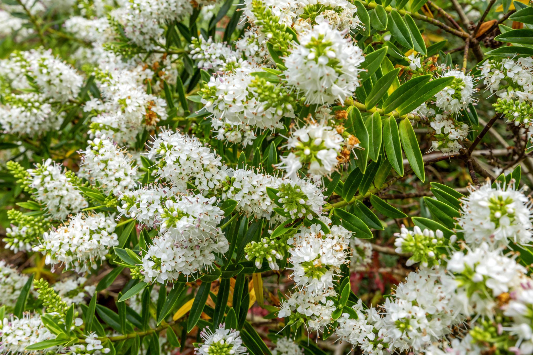 Foto 42 van Kanaalweg Oostzijde 160