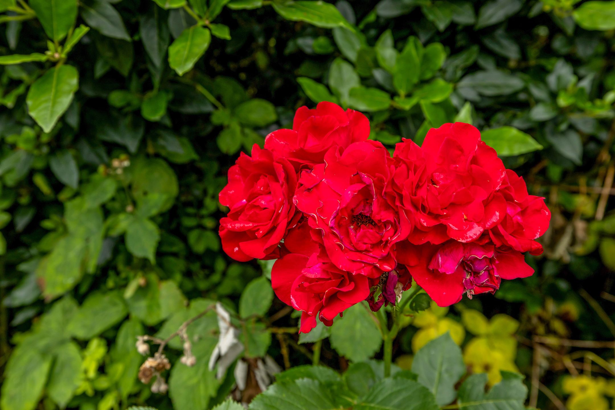 Foto 45 van Kanaalweg Oostzijde 160