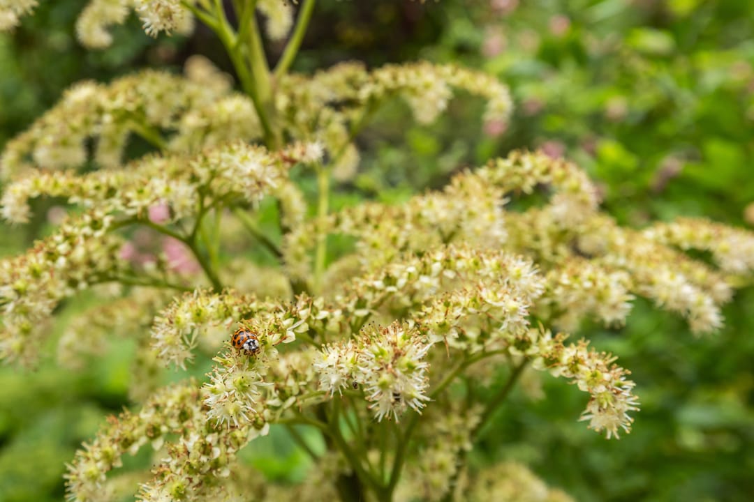 Foto 46 van Kanaalweg Oostzijde 160