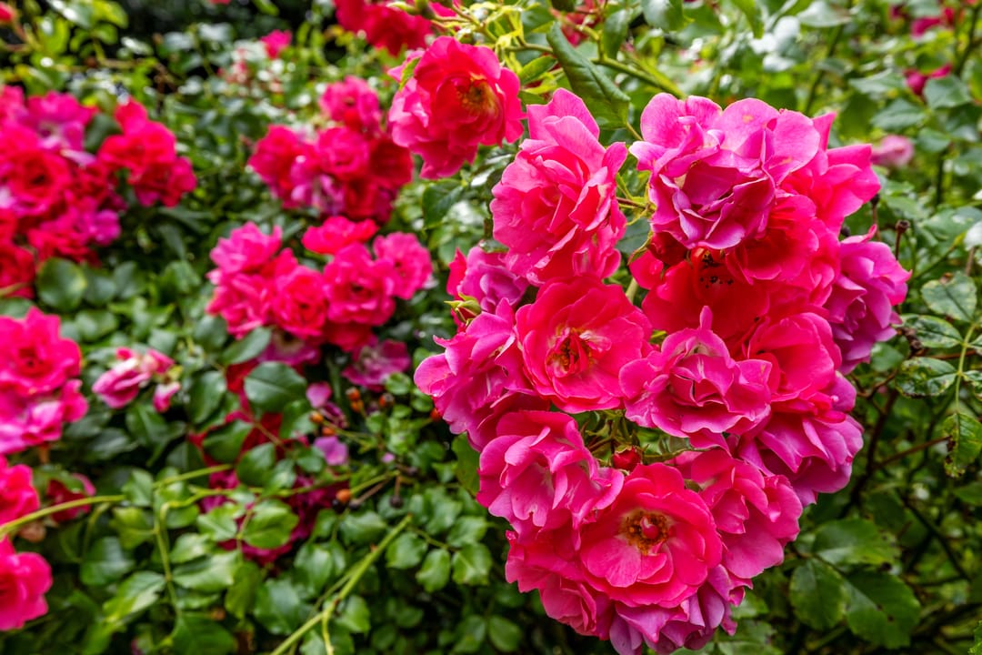 Foto 47 van Kanaalweg Oostzijde 160