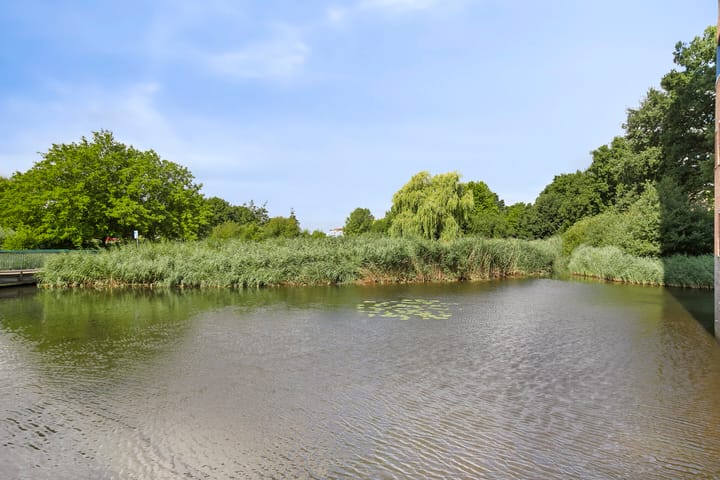 Foto 37 van Regenboog 88