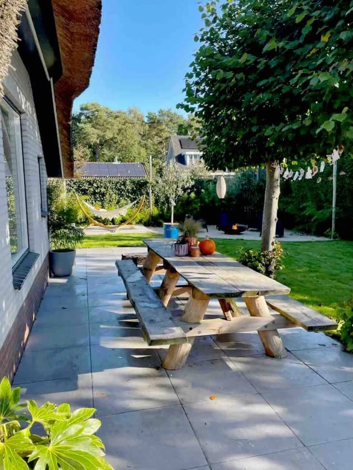 Foto 7 van Haspel 29-7