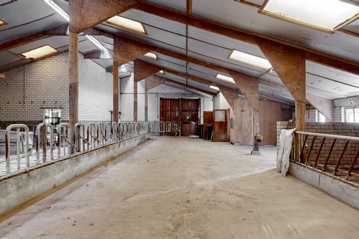 Foto 21 van Stokvisweg 3