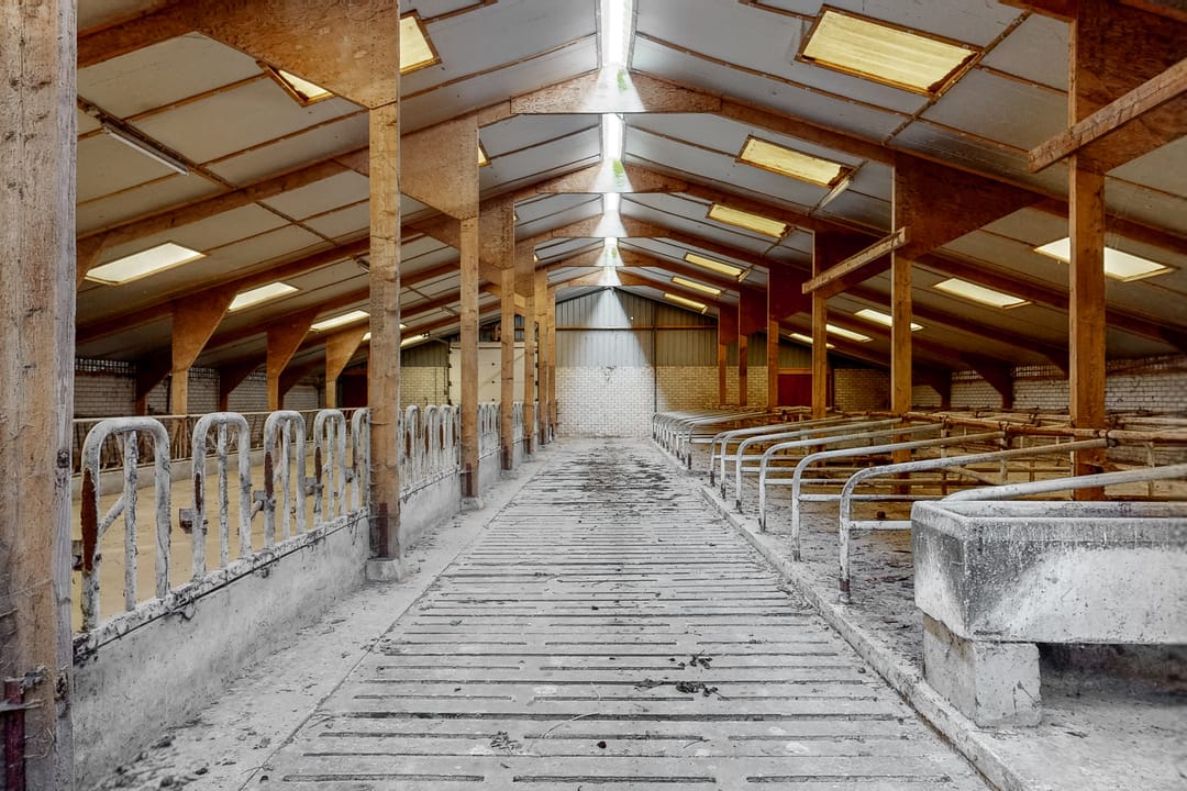 Foto 23 van Stokvisweg 3