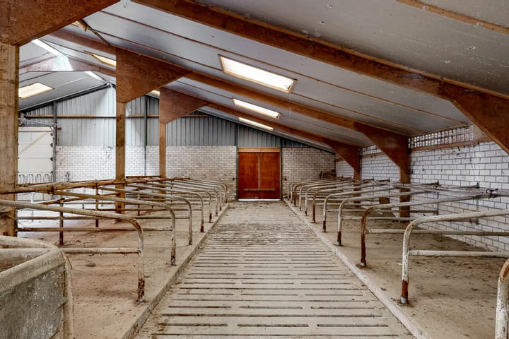 Foto 24 van Stokvisweg 3