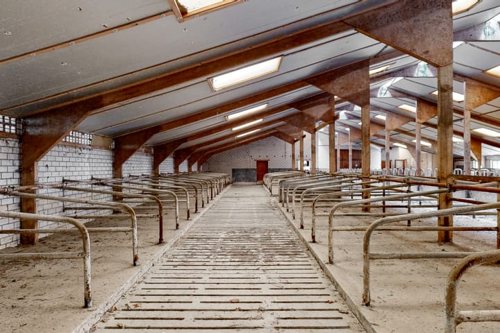 Foto 25 van Stokvisweg 3