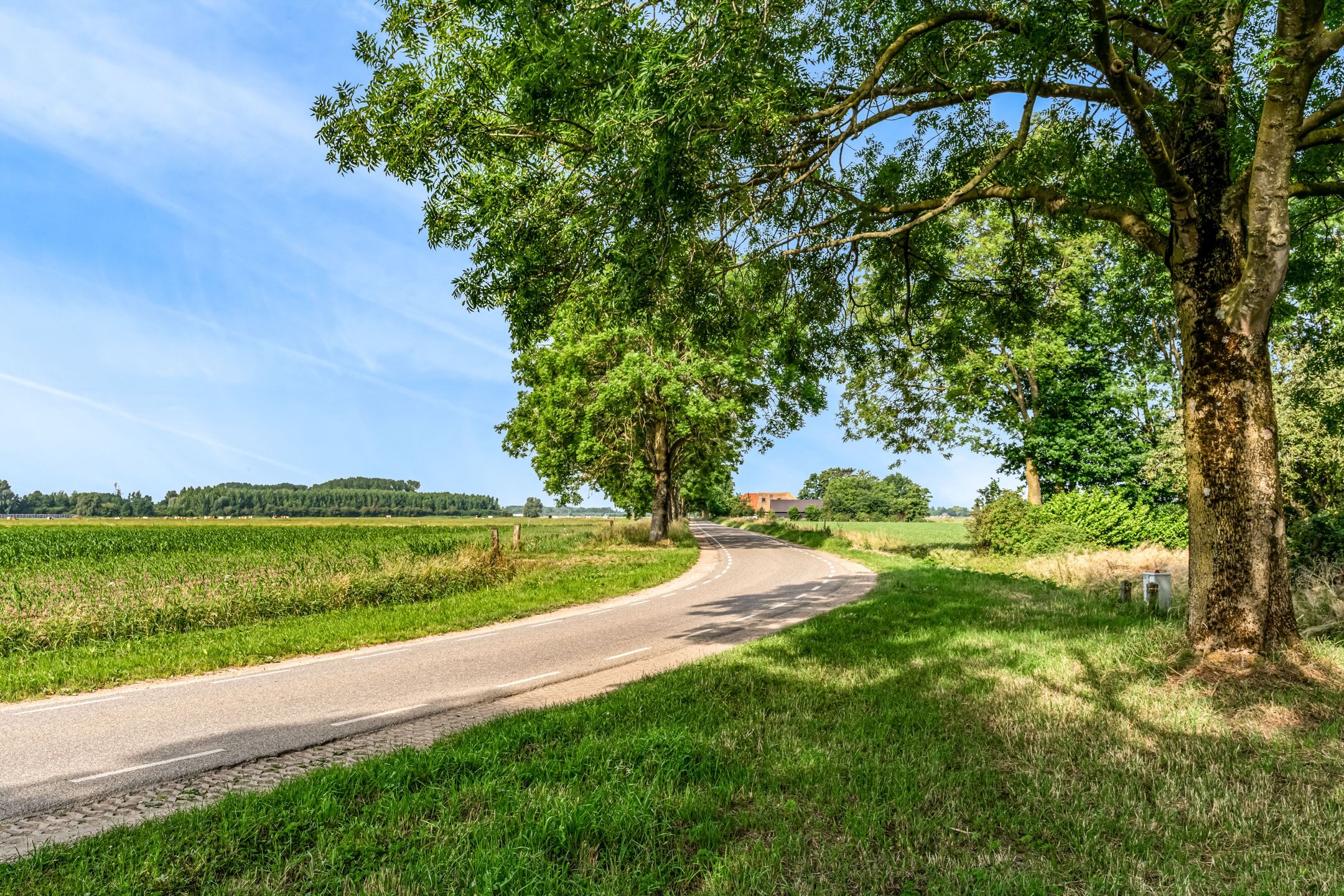 Foto 36 van Stokvisweg 3