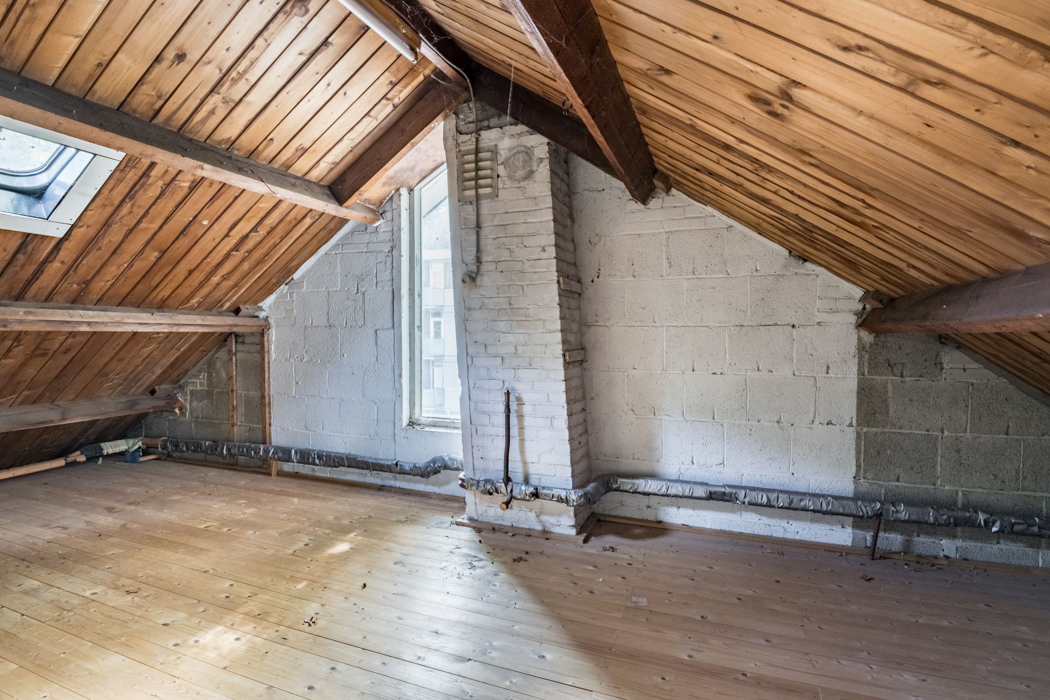 Foto 24 van Elandsgang 1