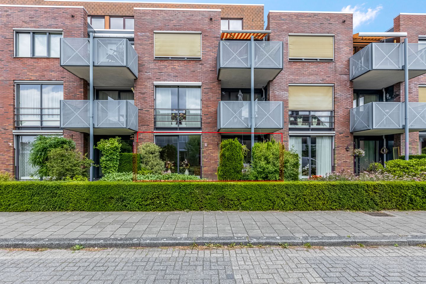 Foto 1 van Blauwgras 1-05