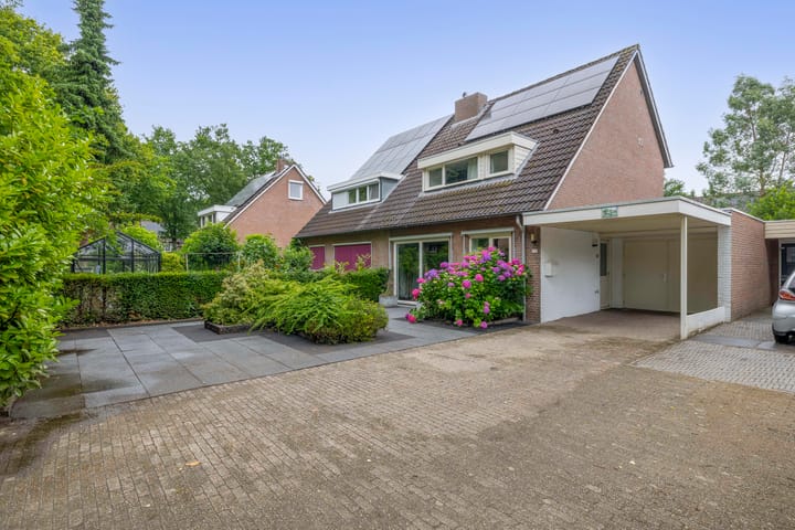 Photo 6 of Barisakker 12